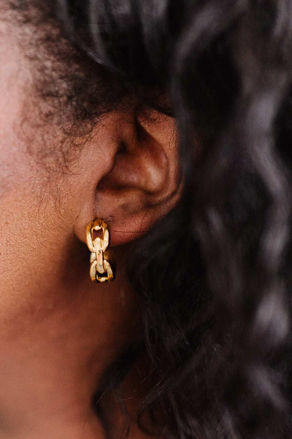 Linked Together Earrings